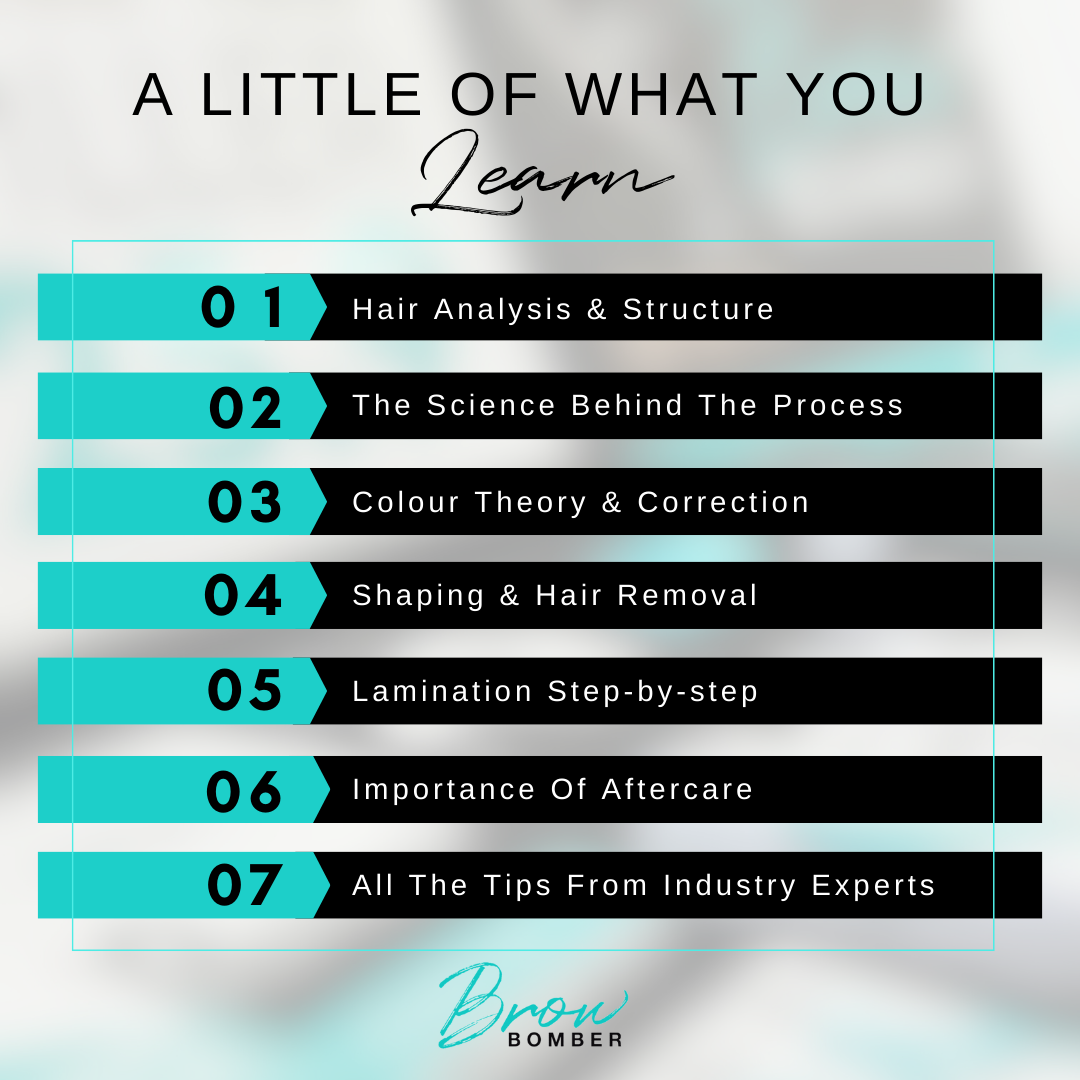 InLei® Brow Bomber (Lamination) Live Webinar Online Training Session