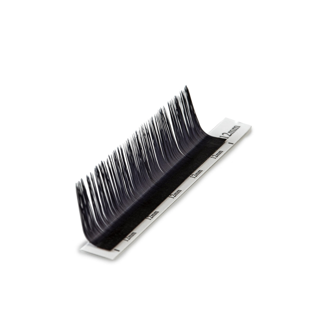 M Curl Volume Lashes | Mixed Tray | 8-16mm