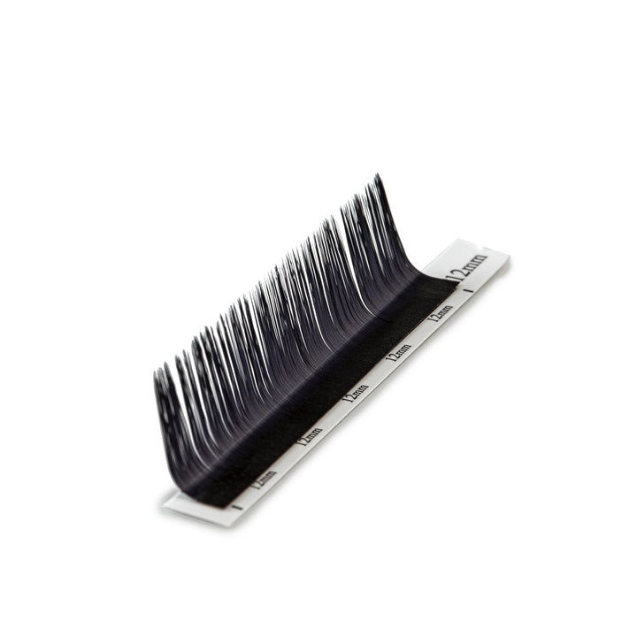 M Curl Volume Lashes | Mixed Tray | 8-16mm
