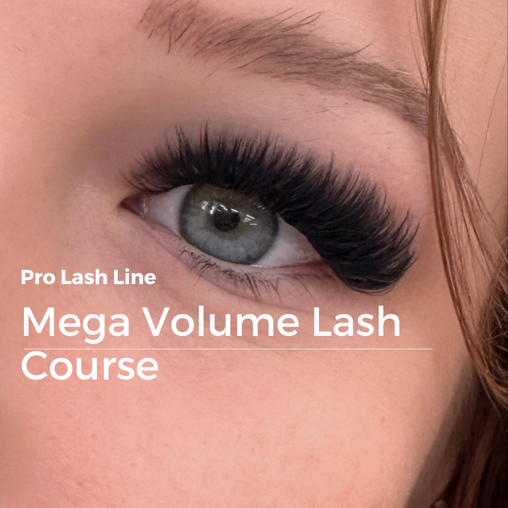 Cours de Master Mega Volume Niveau 3