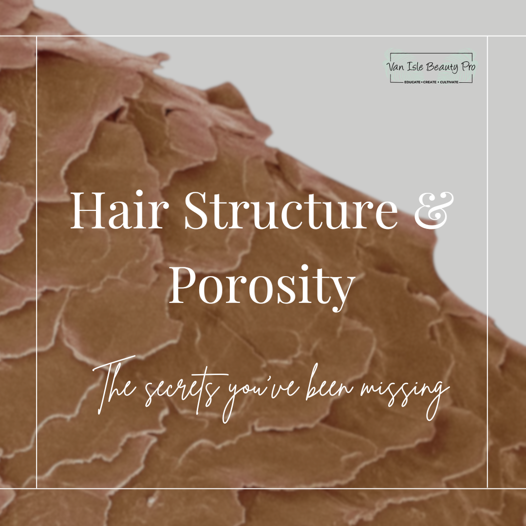Understanding Lash & Brow Hair Structure and Porosity for Perfect Results