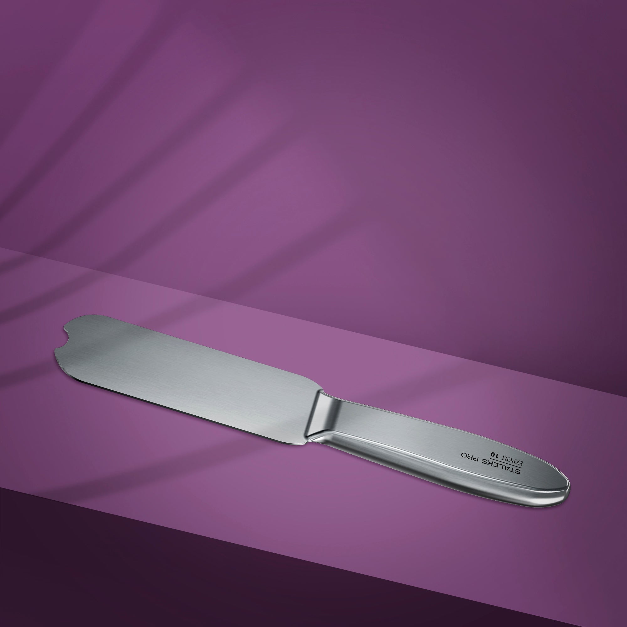 STALEKS PRO Metal Base for Pedicure Grater EXPERT 10