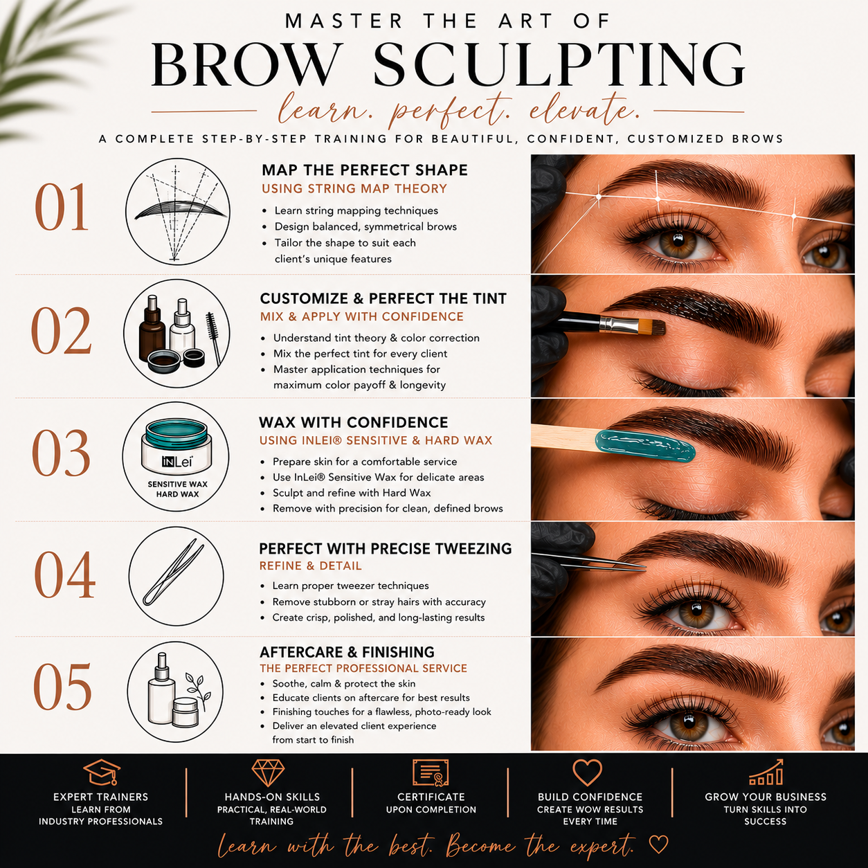Brow Sculpt & Tint Course