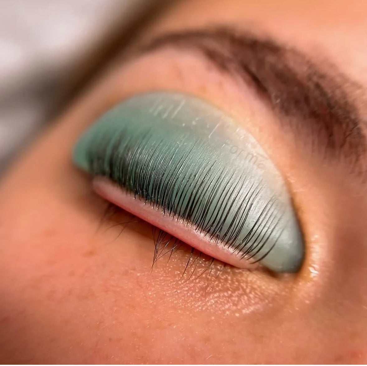 InLei® Forma + Forma UP Shields | Lash Lift Shield Set | 2 Glossy + 2 Matte Pairs