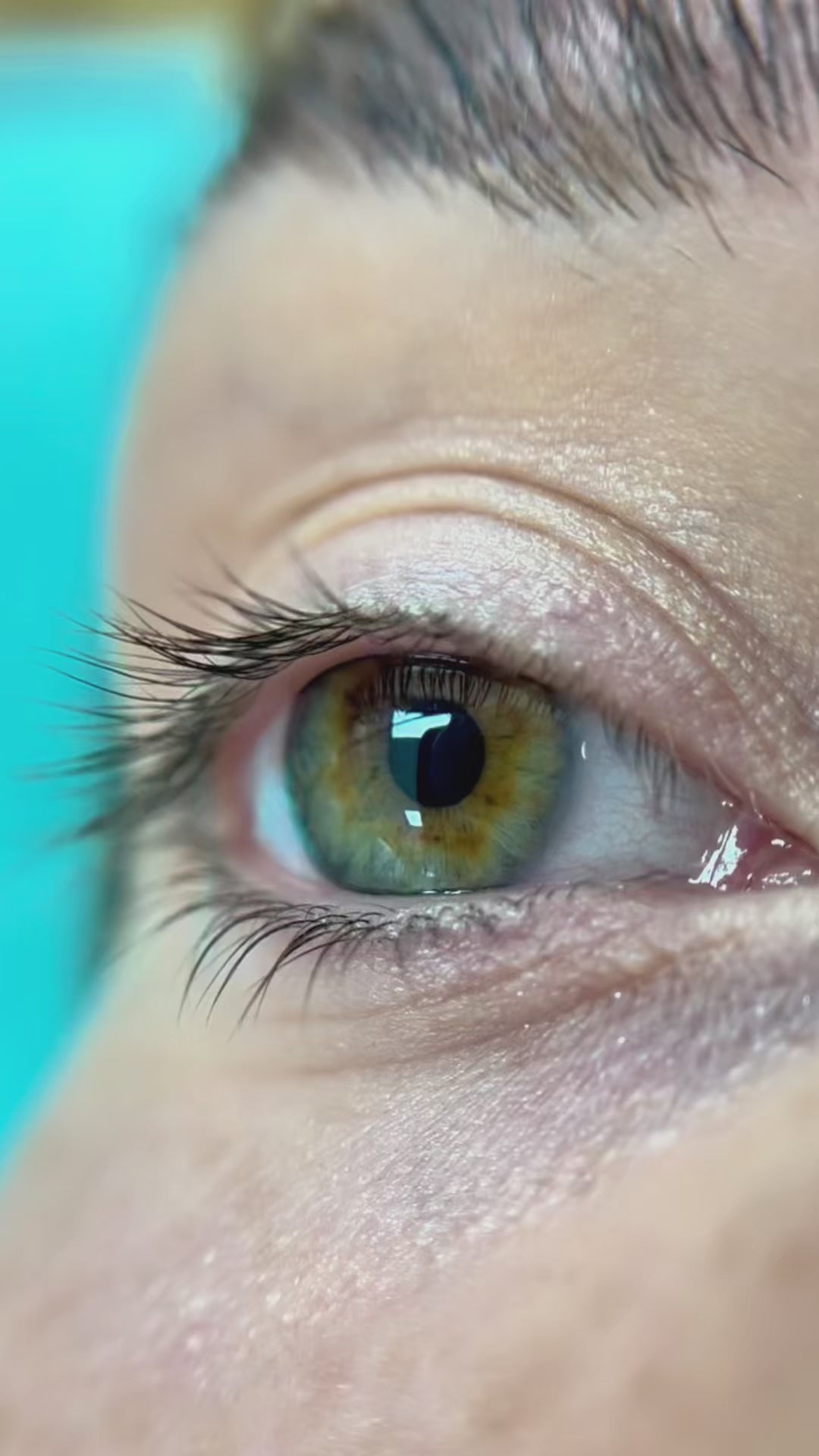 Load video: InLei® Lash Filler 25.9 Master Kit | Professional Lash Lift &amp; Tint System