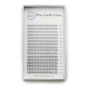 12D Pre-Made Volume Lash Fans XL Tray in C & D Curl